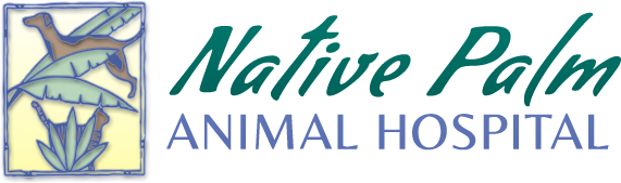 Native Palm Animal Hospital